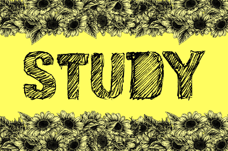 vtks study sketch font