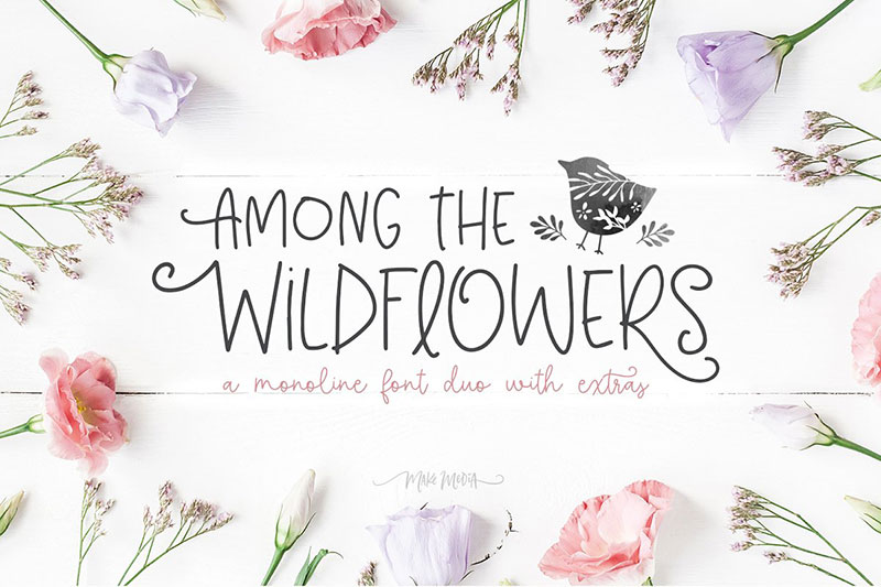 among the wildflowers flower font