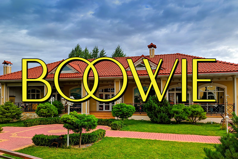 boowie real estate font