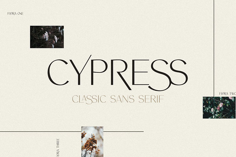 cypress a ligature sans real estate font