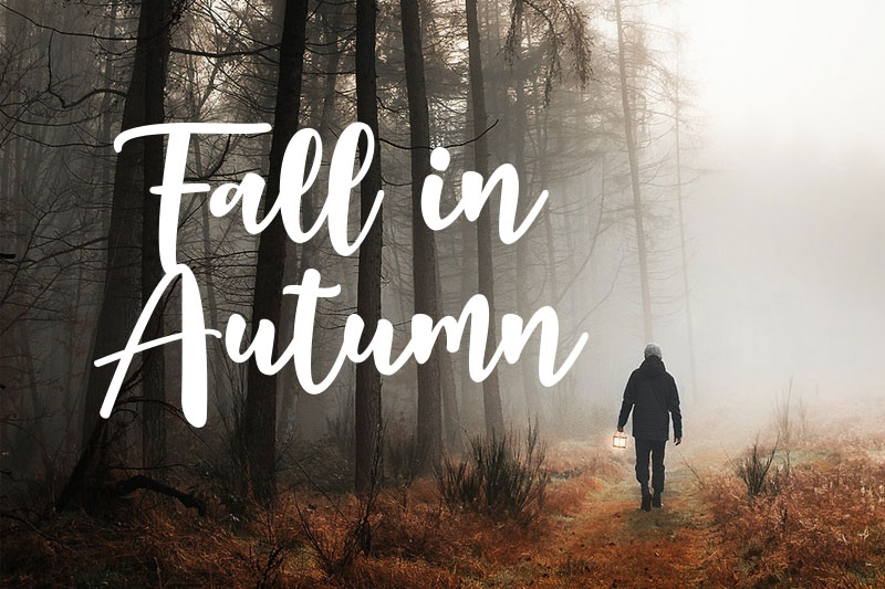 fall in autumn outdoor font