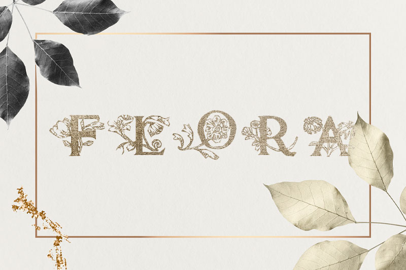 flora1 flower font