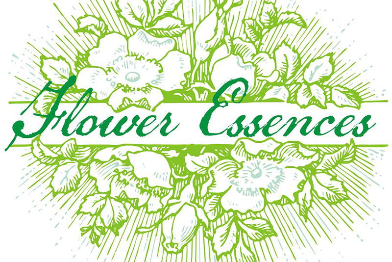 flower essences flower font