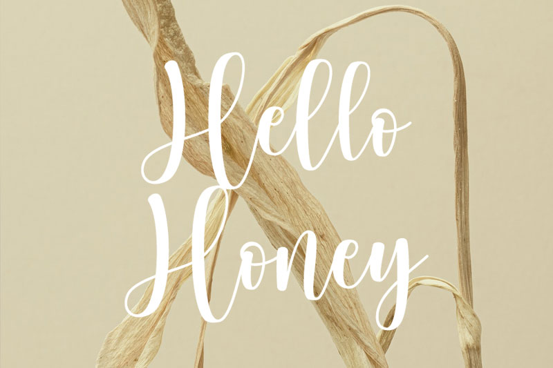 hello honey feminine font