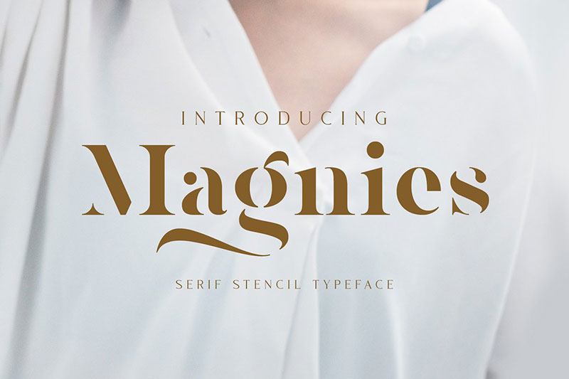 magnies minimal serif real estate font