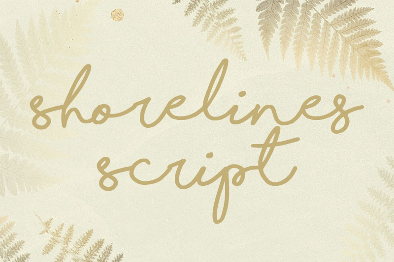shorelines script feminine font
