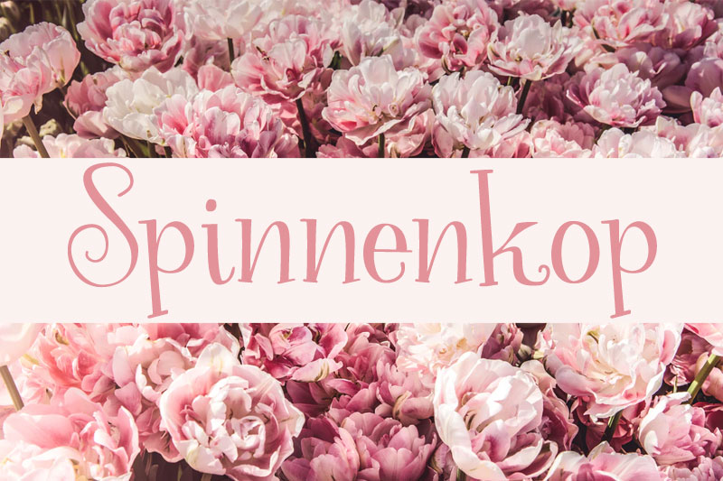 spinnenkop flower font