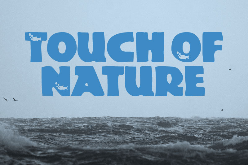 touch of nature outdoor font
