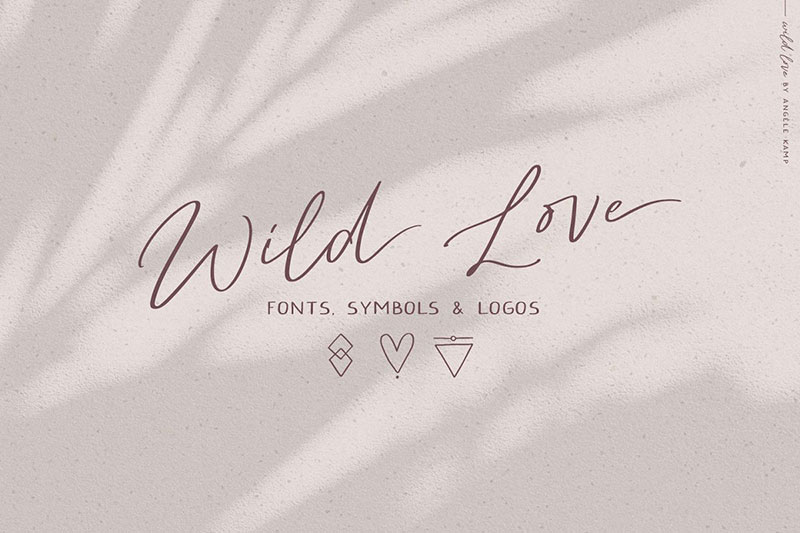 wild love feminine font