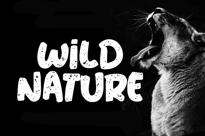 wild nature outdoor font