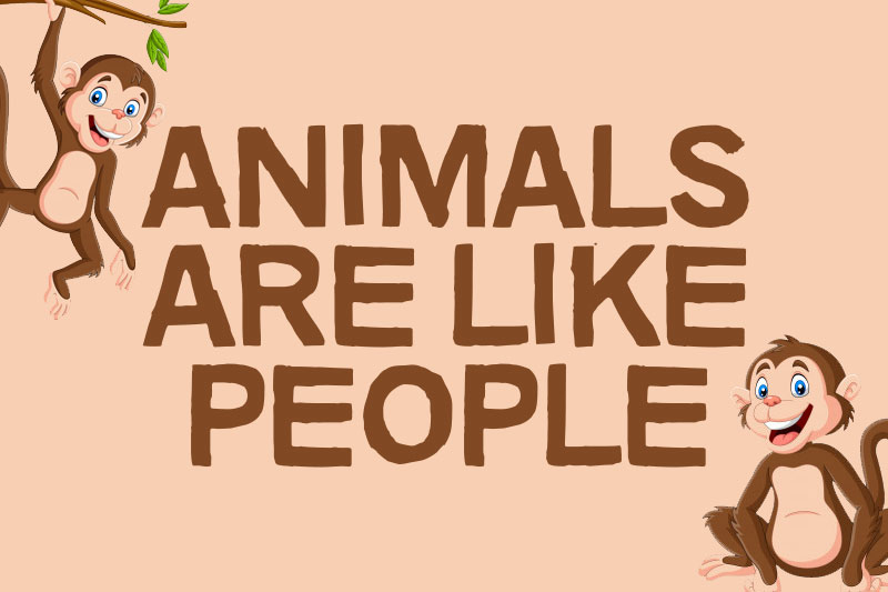 animals are like people animal font