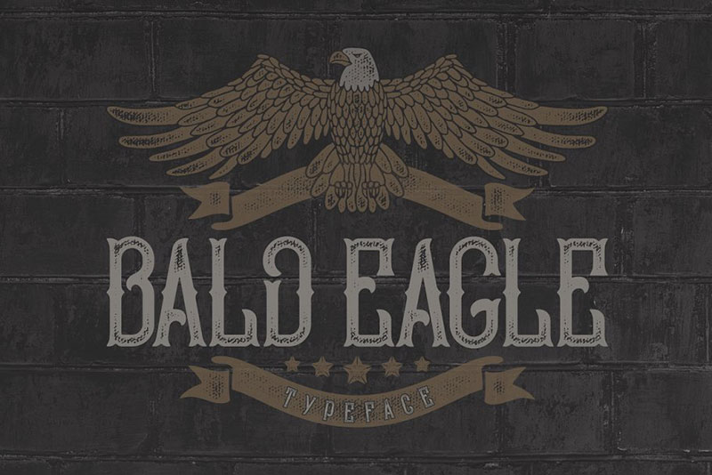 bald eagle typeface animal font