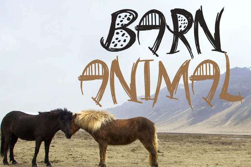 barn animal font