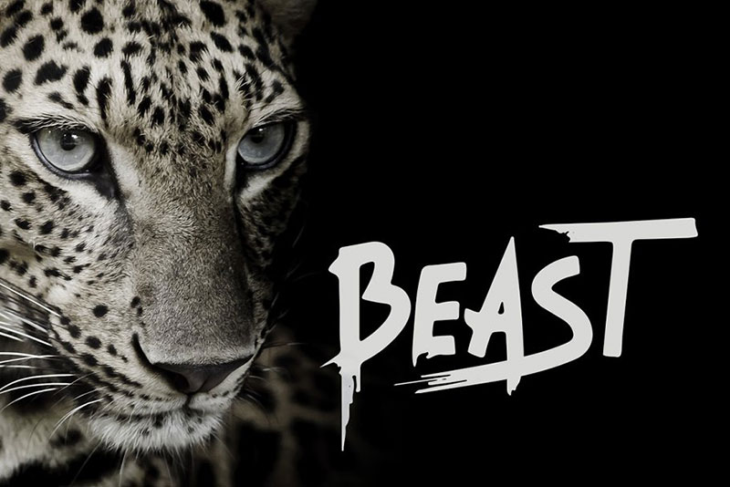beast brush animal font