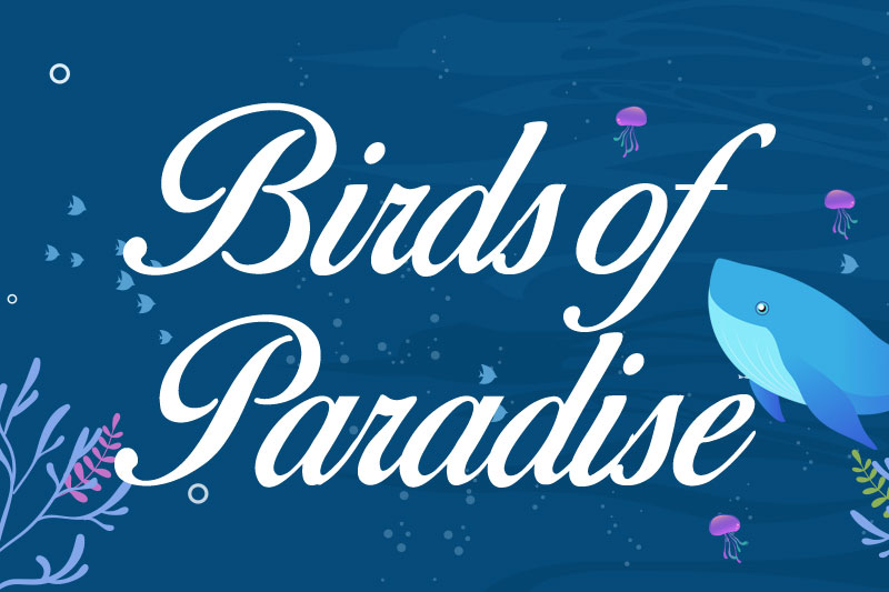 birds of paradise ocean font