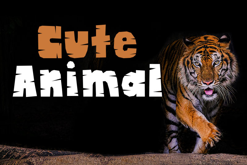 cute animal font