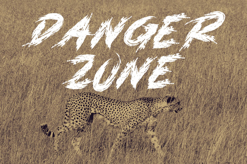 danger zone animal font