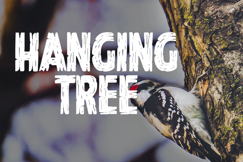 hanging tree animal font