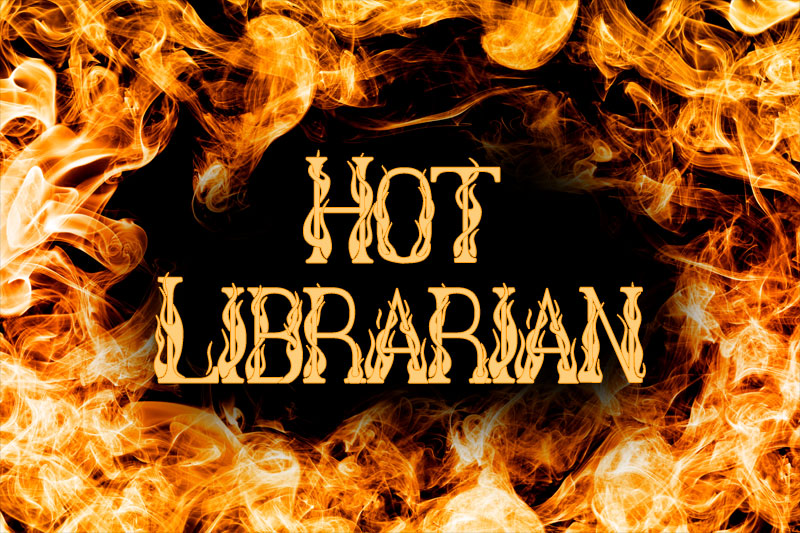hot librarian fire and flame font