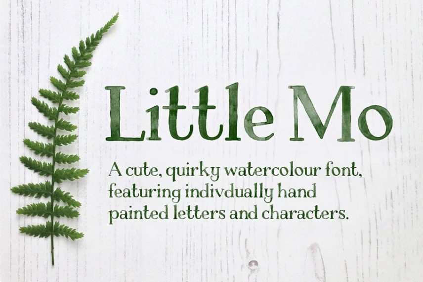 Little Mo Watercolour Display Font