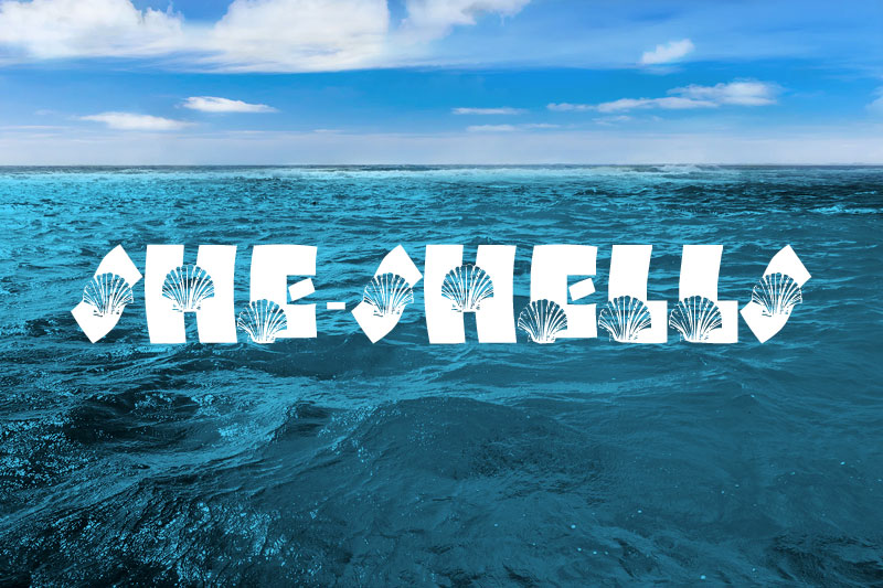 lms she shells ocean font