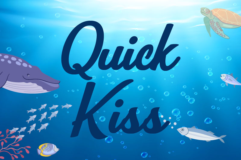 quick kiss ocean font