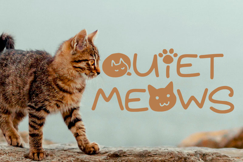 quiet meows animal font