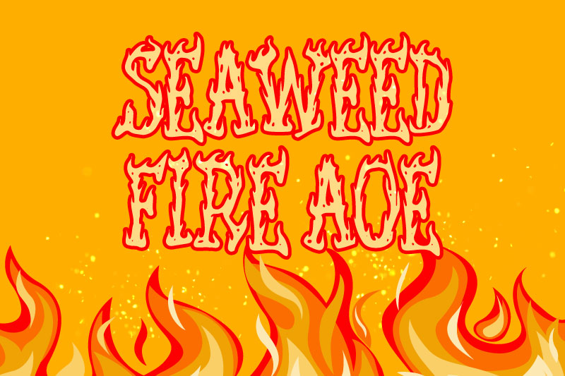 seaweed fire aoe fire and flame font