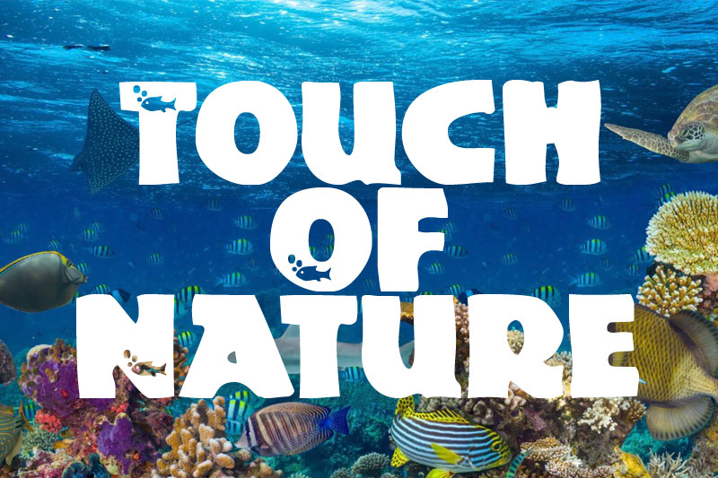touch of nature ocean font
