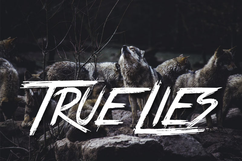 true lies animal font