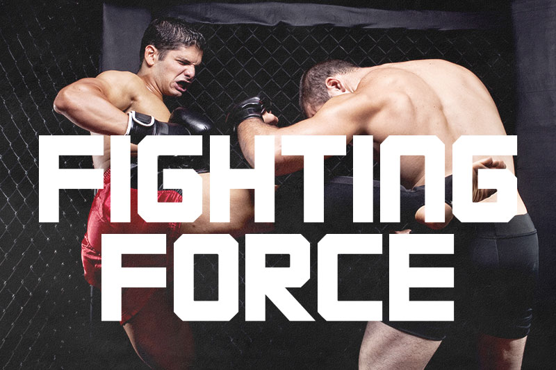 fighting force fight font