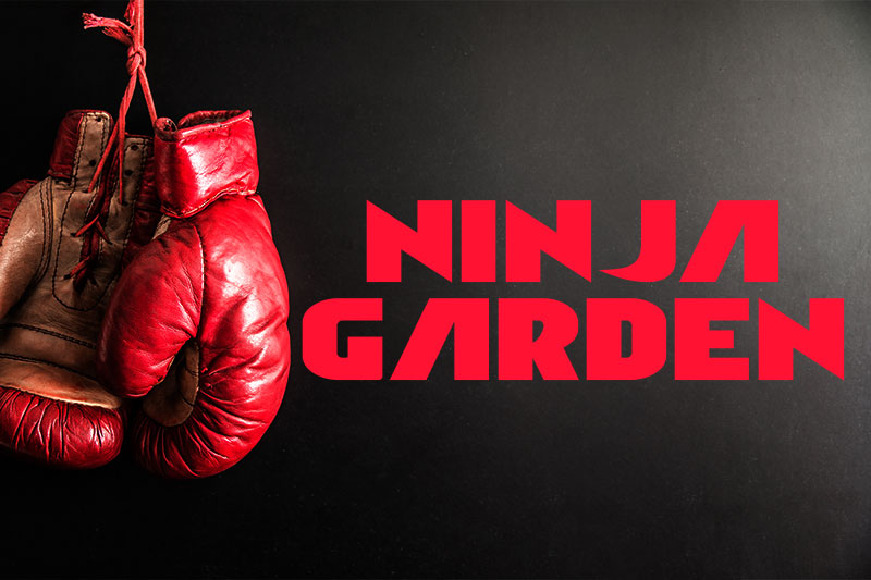 ninja garden fight font