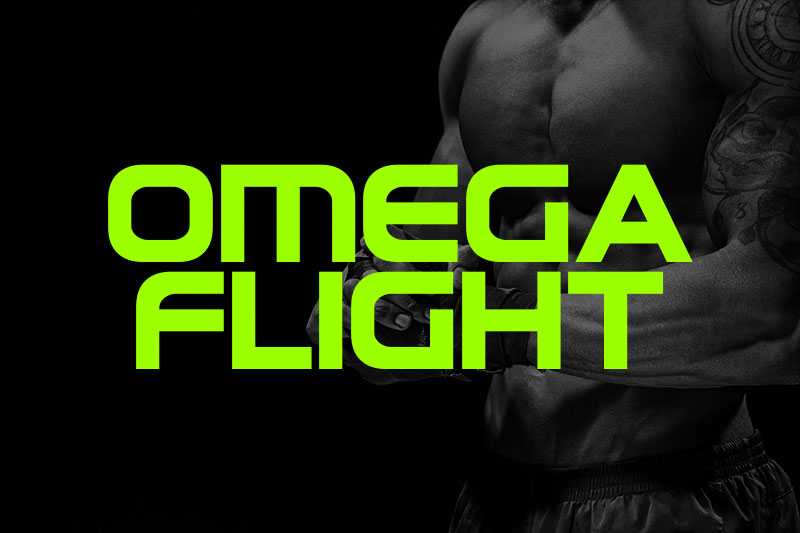 omega flight fight font