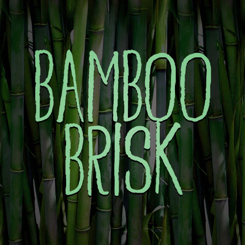 the word bamboo chinese style font