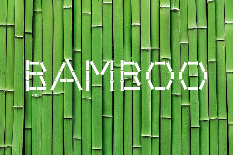 the word bamboo chinese style font