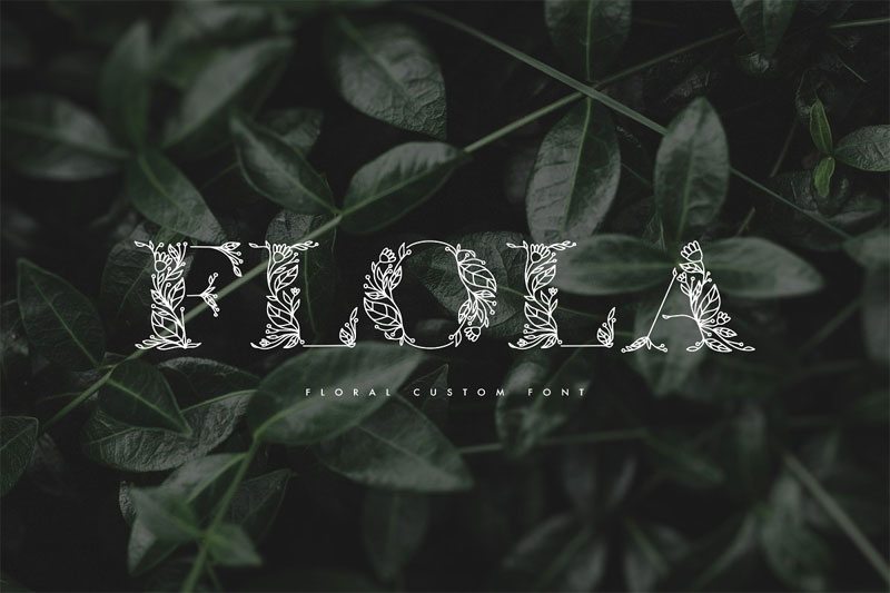 flola hand drawn leaf font