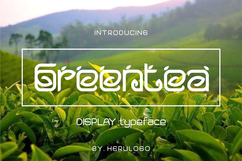 greentea display typeface leaf font