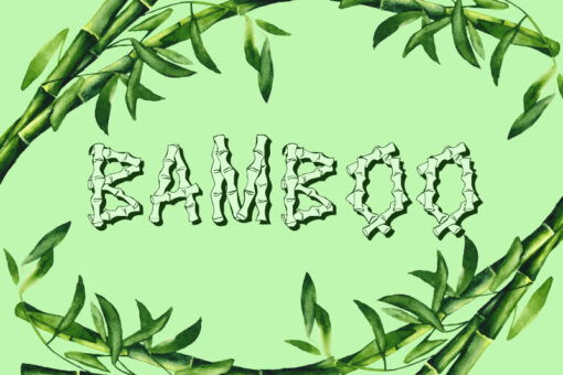 20+ Best Bamboo Fonts (FREE / Premium) 2024 | Hyperpix