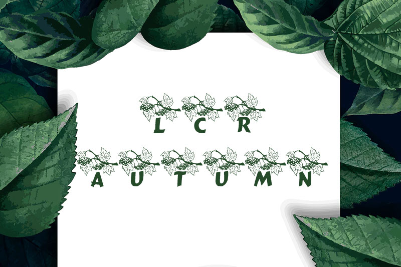 lcr autumn leaf font