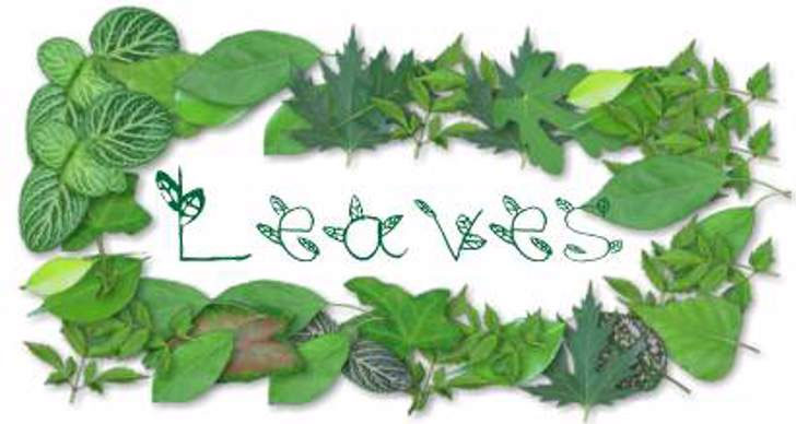 leaves leaf font