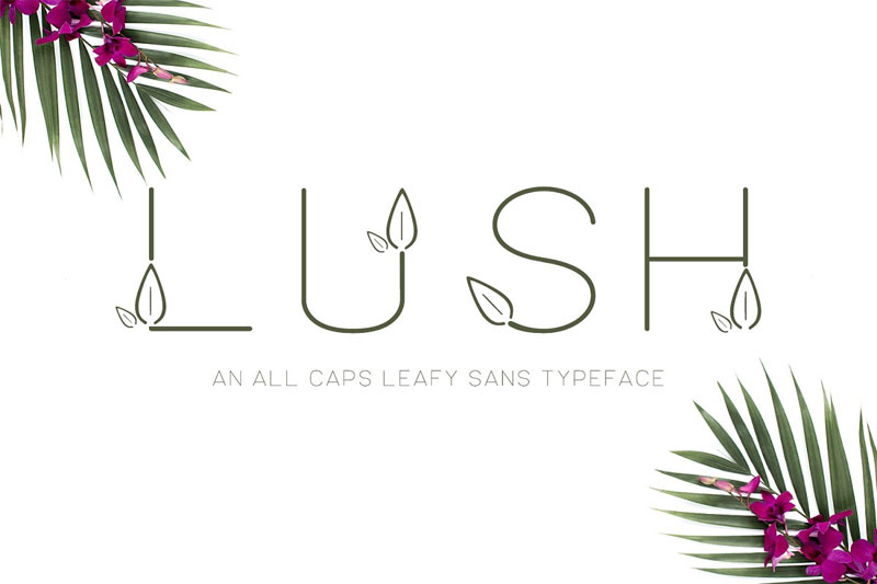 lush sans typeface leaf font