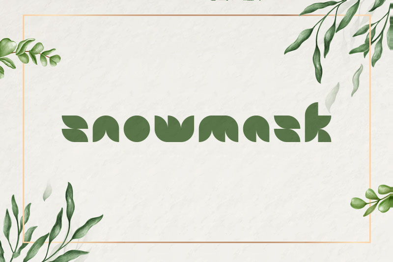snowmask leaf font