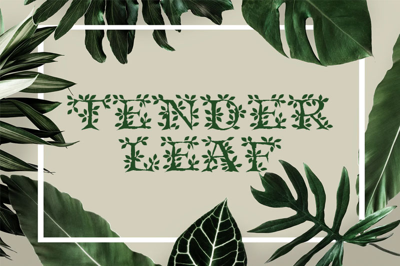 tenderleaf leaf font