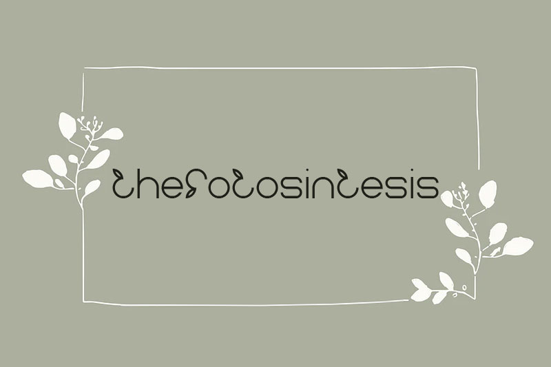 thefotosintesis leaf font
