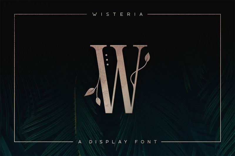 wisteria • display leaf font