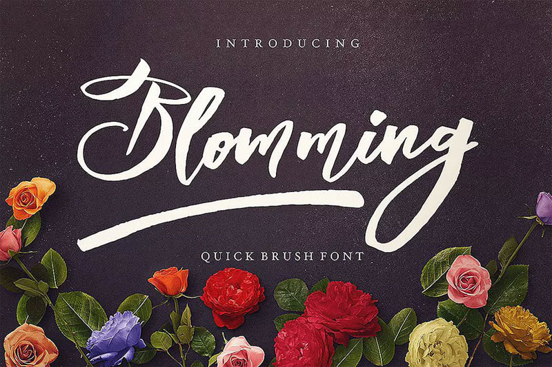 blomming brush font