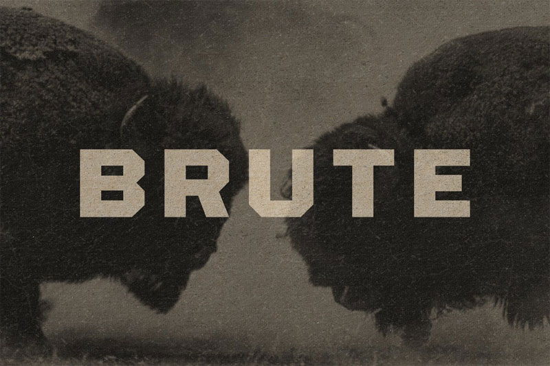 brute wrestling font