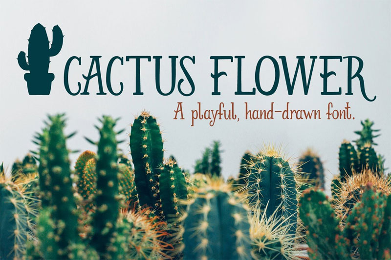 cactus flower cactus font