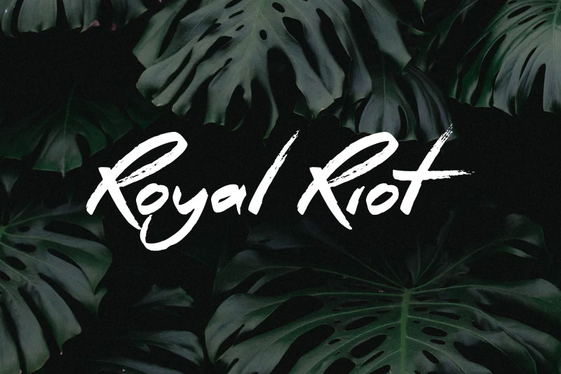 royal riot brush font