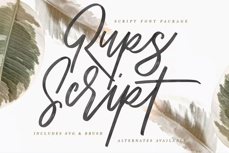 rups script brush brush font